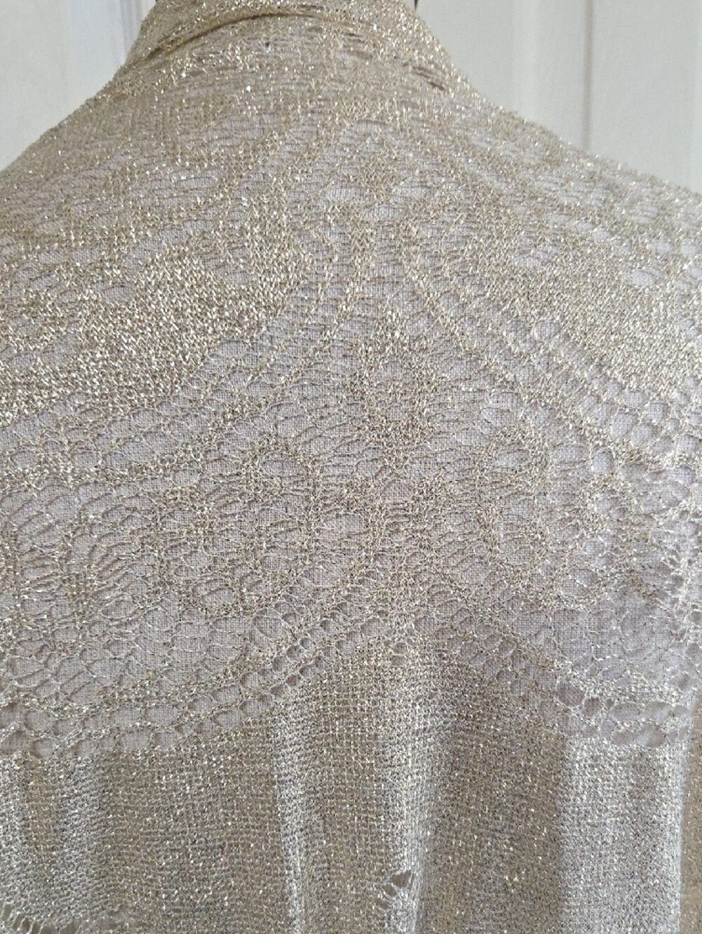 Elegant Metallic Lace Fringe Shawl - Champagne - Picture 5 of 6